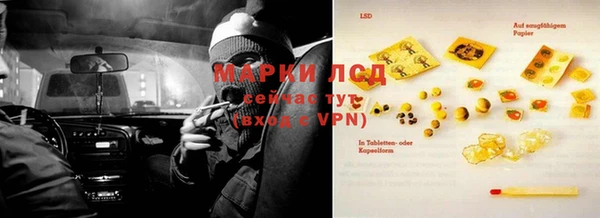 apvp Магадан