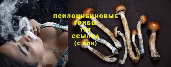 герыч Медногорск
