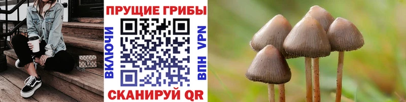 Галлюциногенные грибы мухоморы Лодейное Поле